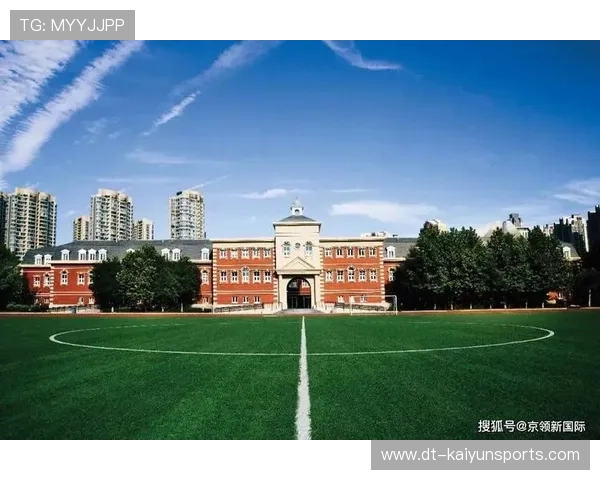 琑队如何提升国际交流与学习，提升国际化沟通能力,培养国际化专业素养心得体会